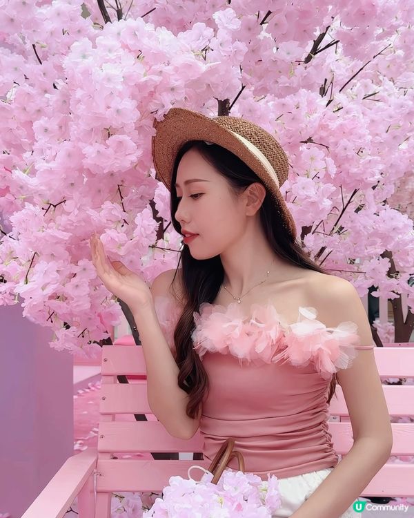 櫻花與熱氣球的浪漫展🌸