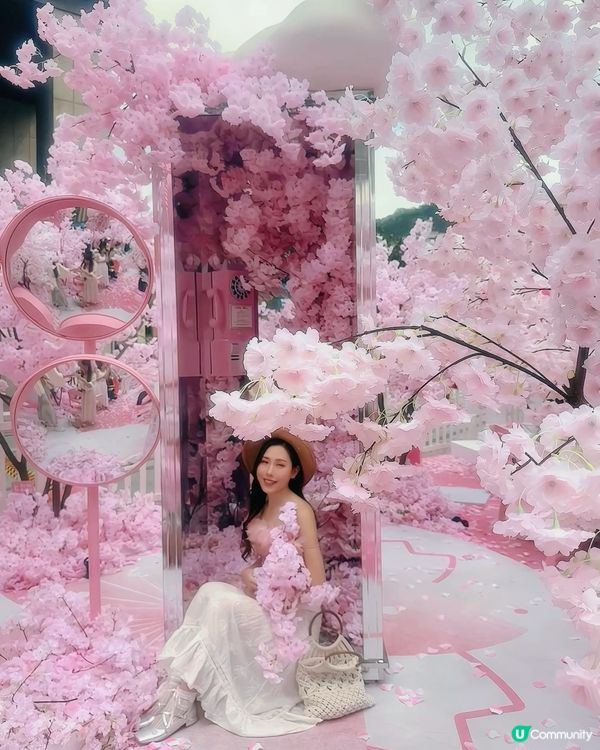 櫻花與熱氣球的浪漫展🌸