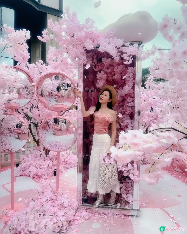 櫻花與熱氣球的浪漫展🌸