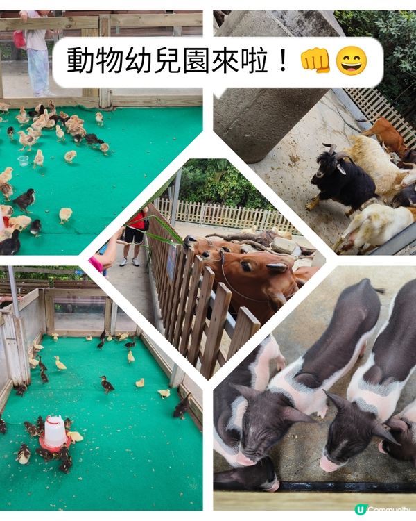 真的野山動物園？之廣州三日遊2