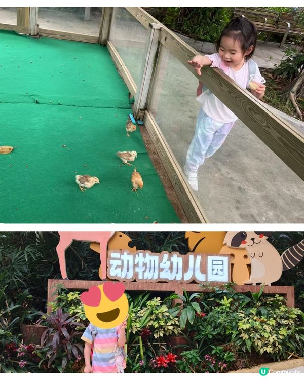 真的野山動物園？之廣州三日遊2