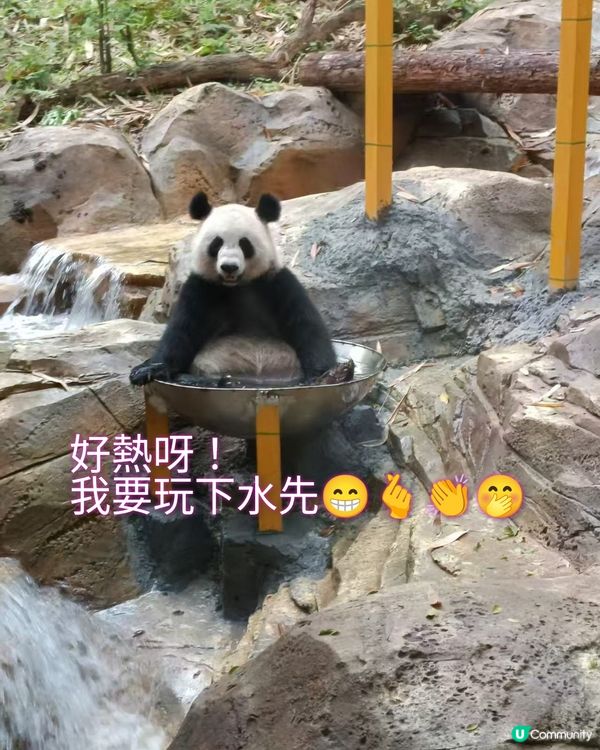 真的野山動物園？之廣州三日遊2