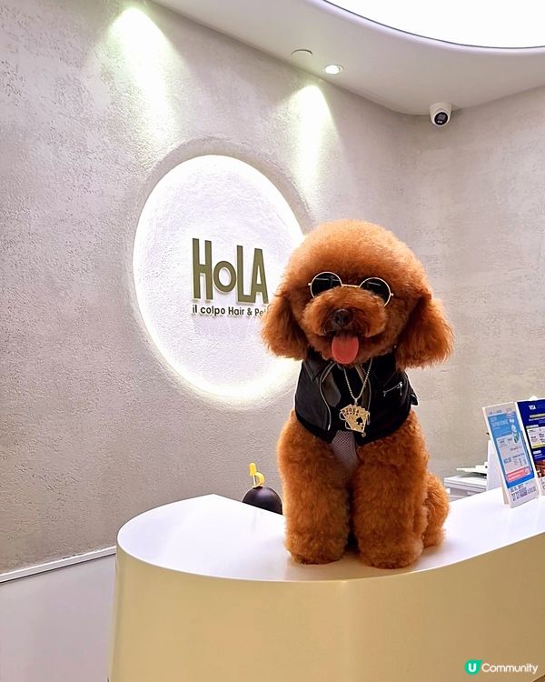 🐶🛁 靚仔變身！帶寶貝去沖涼啦！人寵美容