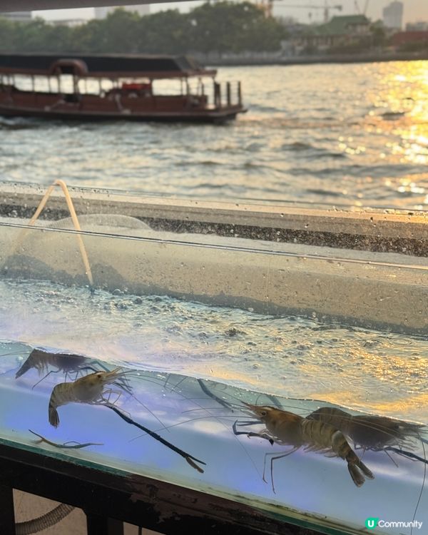 曼谷海鮮自助 🦞 700泰銖吃到飽！