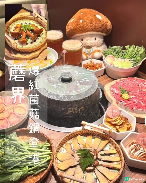 蘑界 | 深圳爆紅菌菇鍋登港‼️