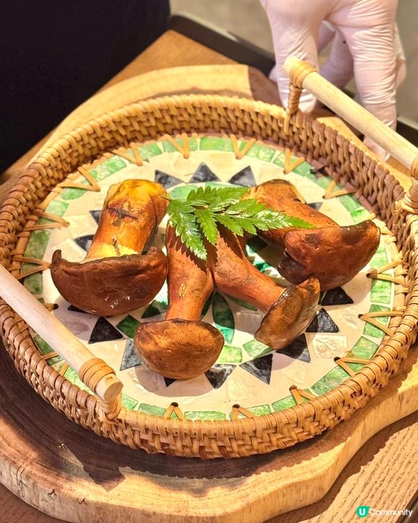 蘑界 | 深圳爆紅菌菇鍋登港‼️