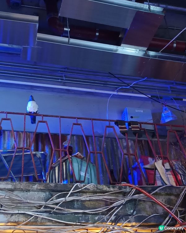 🎬 九龍城寨，重返80年代！