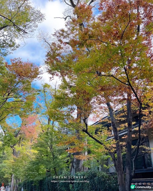 【日本-京都】京都世界遺產│精緻四季蕾絲收藏御守│賀茂御祖神社(下鴨神社)