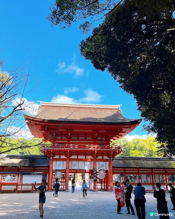 【日本-京都】京都世界遺產│精緻四季蕾絲收藏御守│賀茂御祖神社(下鴨神社)