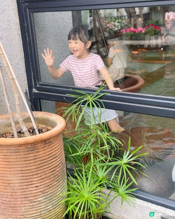 順德ins風打卡民宿