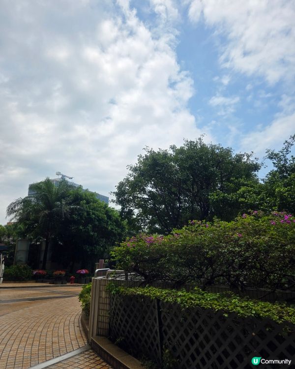 #chill嘆酒店旅人祭##泡泡潔淨##ai公仔指令##ch...