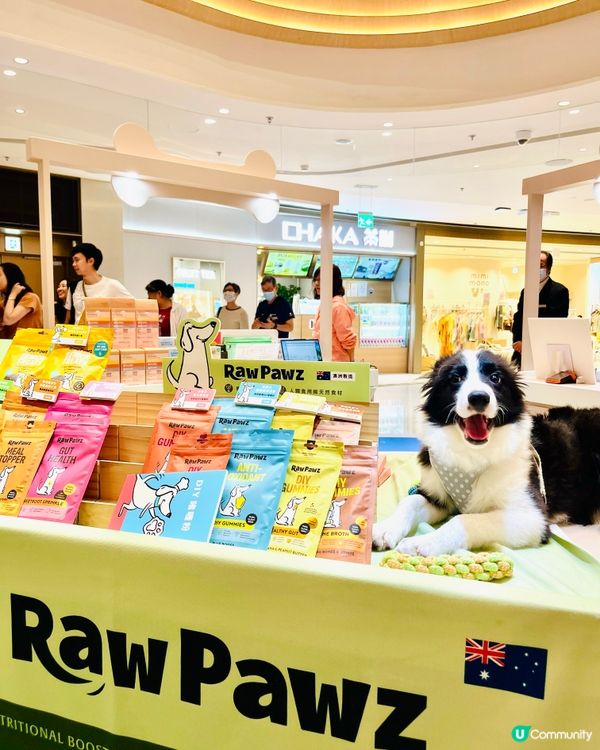 黃竹坑貓狗嘉年華🐱🐶  今個週末去打卡！