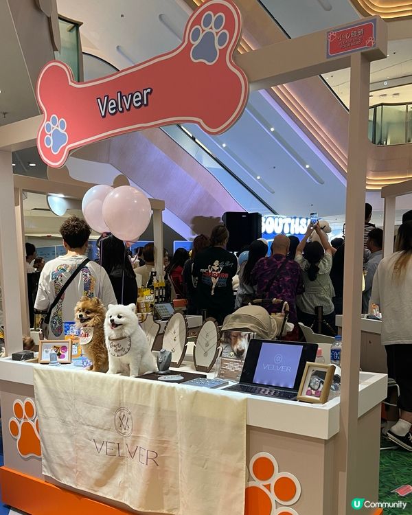 黃竹坑貓狗嘉年華🐱🐶  今個週末去打卡！