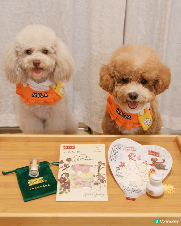 🐶🐱 寵愛生日禮包🎁