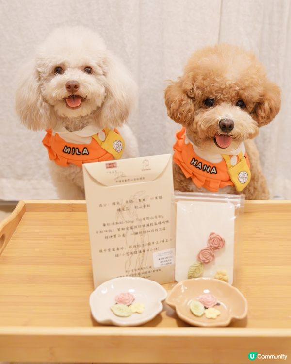 🐶🐱 寵愛生日禮包🎁