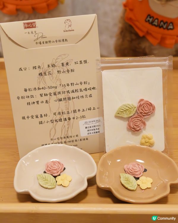 🐶🐱 寵愛生日禮包🎁