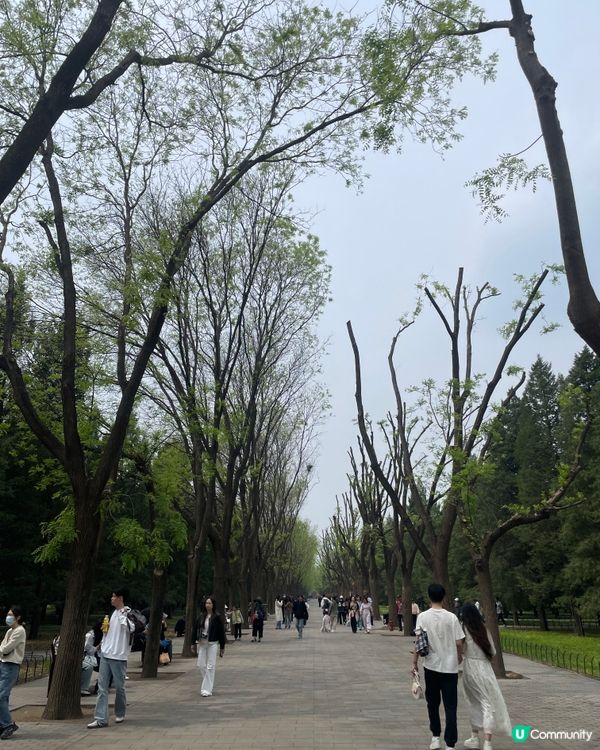 天壇打卡！祈年殿+回音壁，玩轉古建築！🏯✨