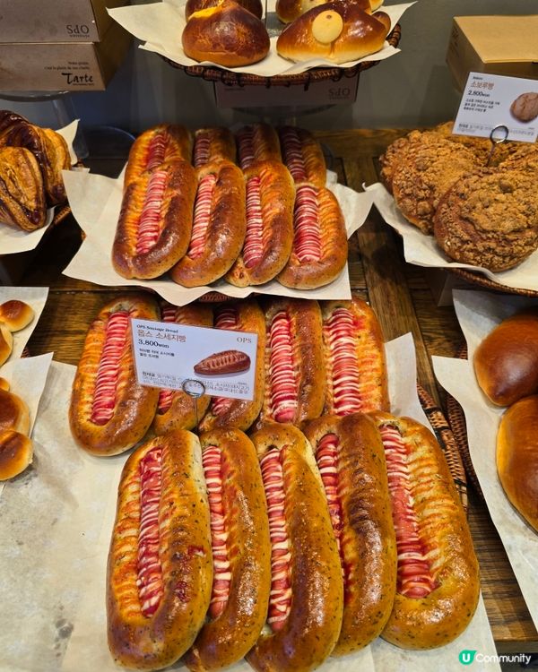 🔥【釜山必食！OPS烘培屋海雲台店🥐 麵包天堂😍】🔥