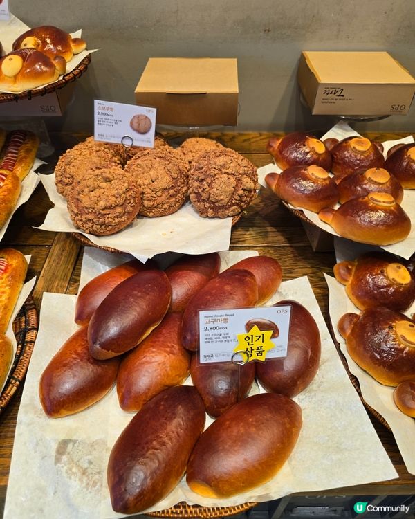 🔥【釜山必食！OPS烘培屋海雲台店🥐 麵包天堂😍】🔥