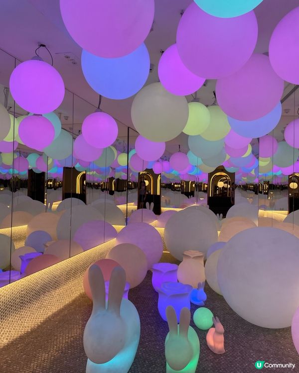 抵食午市點心x火鍋組合🍲仲有得打卡