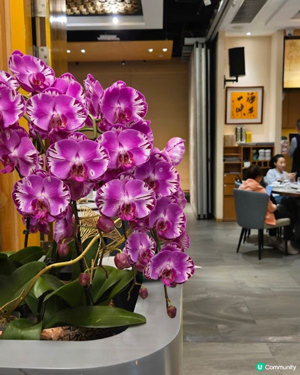 母親節吃什麼？