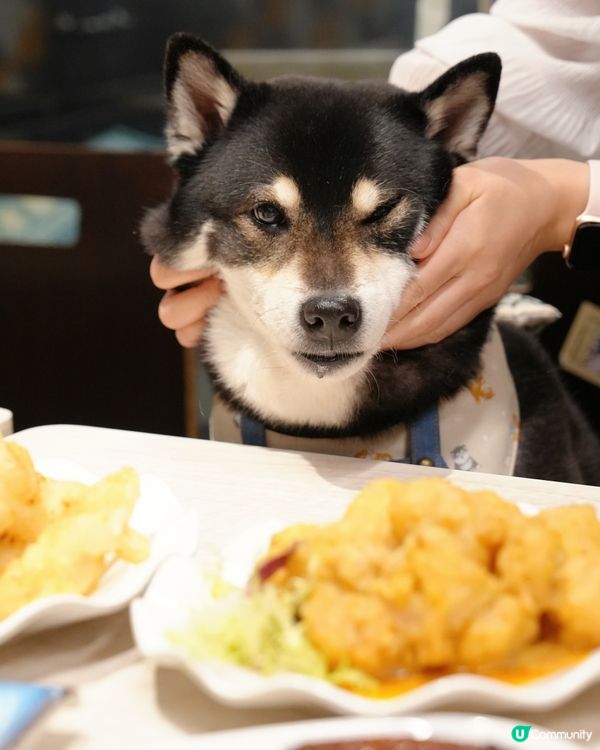 今次唔使陪食😋我都有份食喇