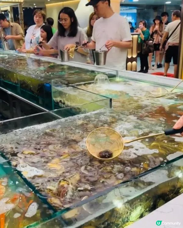 《九龍灣 ·首間即撈海鮮放題》🦀香港第一間即撈海鮮火鍋放題🦀