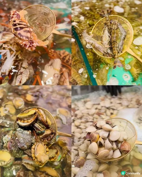 《九龍灣 ·首間即撈海鮮放題》🦀香港第一間即撈海鮮火鍋放題🦀