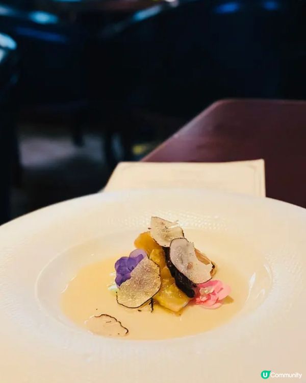 《銅鑼灣·超高質法式fine dining》❣️英倫風法國菜❣️