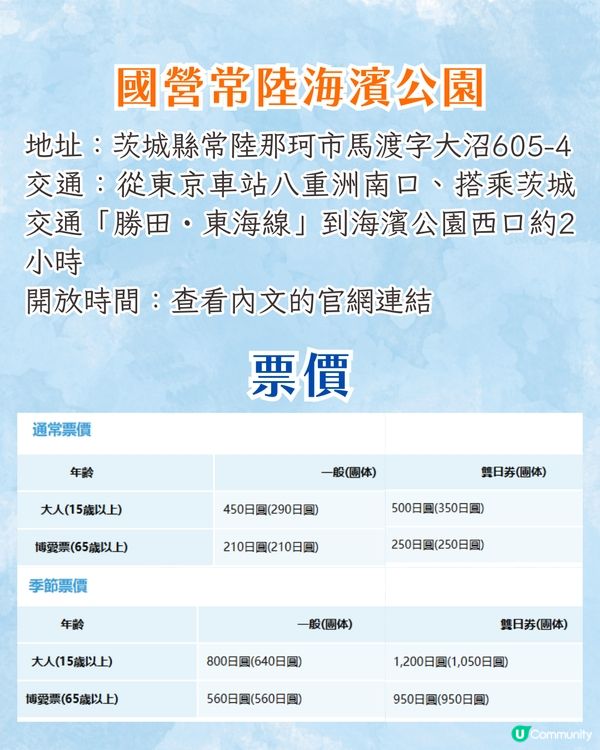 日本粉蝶花6大夢幻景點💠東京/大阪附近🚗富士山花海/歐式風車/夕陽花景