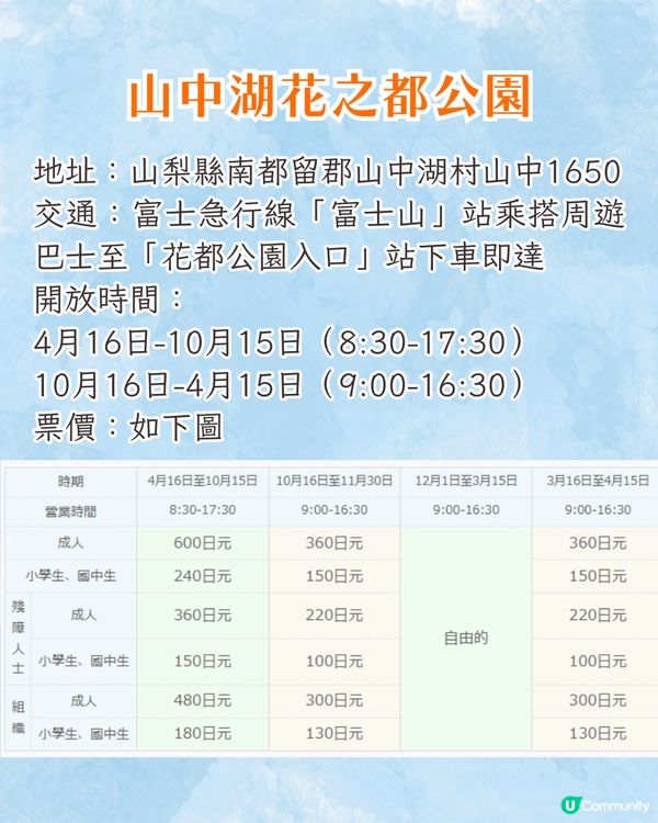 日本粉蝶花6大夢幻景點💠東京/大阪附近🚗富士山花海/歐式風車/夕陽花景