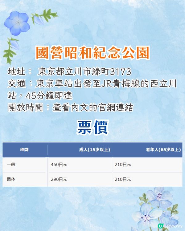 日本粉蝶花6大夢幻景點💠東京/大阪附近🚗富士山花海/歐式風車/夕陽花景