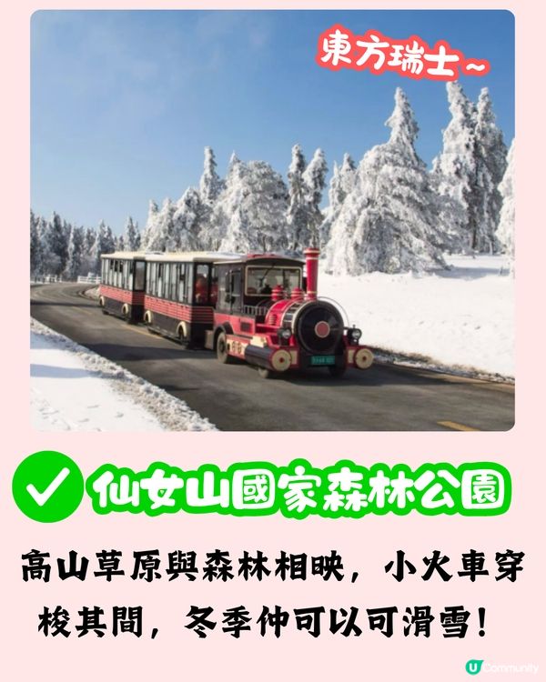 🌟【8D魔幻山城重慶 景點紅黑榜❌】內附按摩及美食推薦