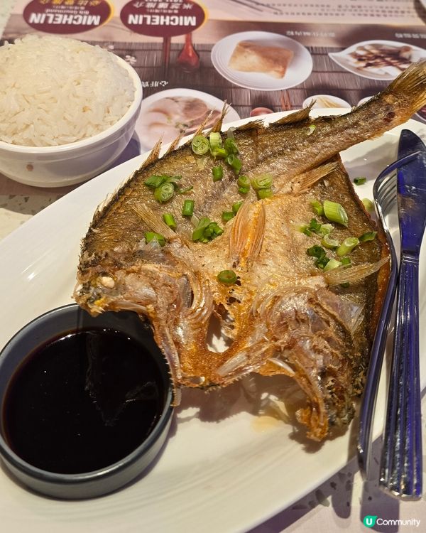 靠得住午市試食😋  炸黃魚+梅菜蒸鯇魚