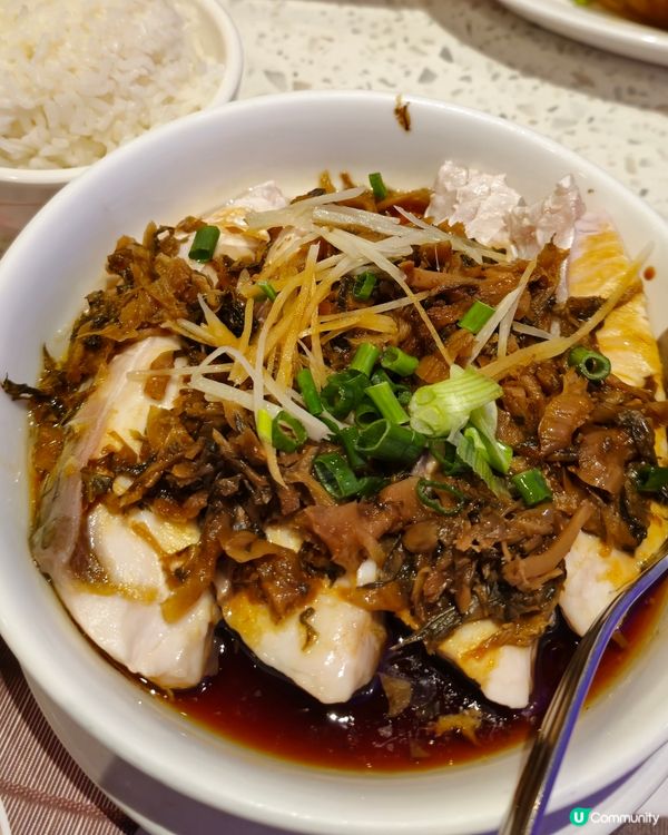 靠得住午市試食😋  炸黃魚+梅菜蒸鯇魚