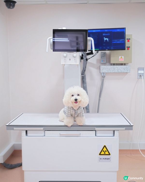 應該係香港第一專醫寵物腫瘤 加開24小時急診門診部