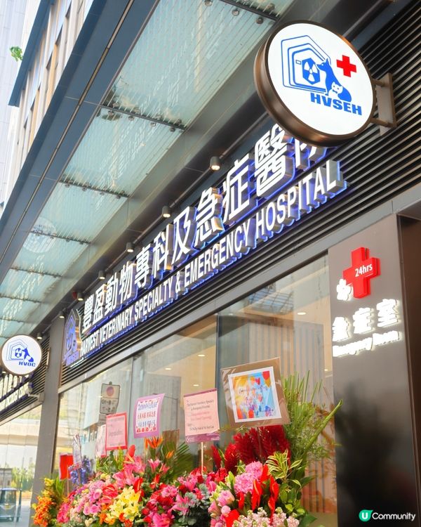 應該係香港第一專醫寵物腫瘤 加開24小時急診門診部
