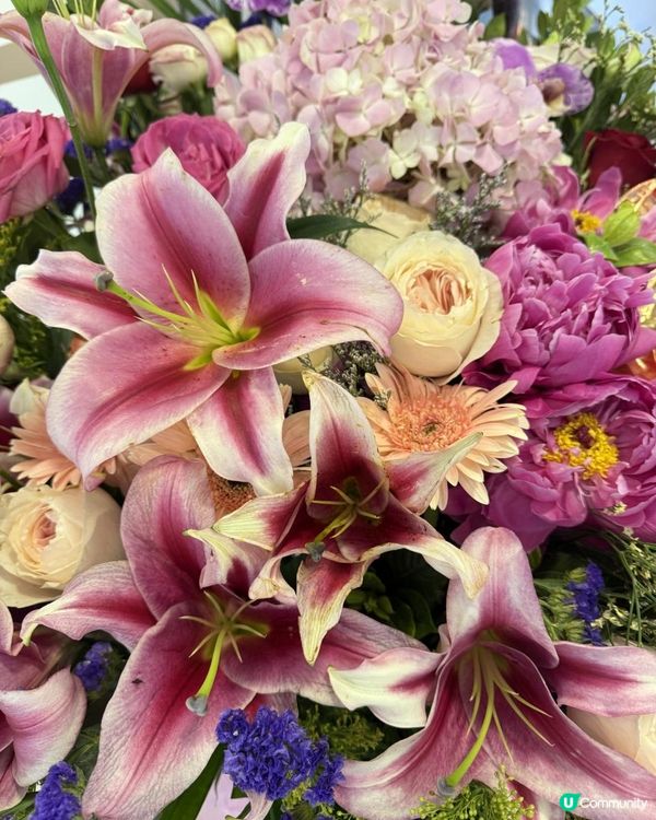 💐《開張靚花》💐