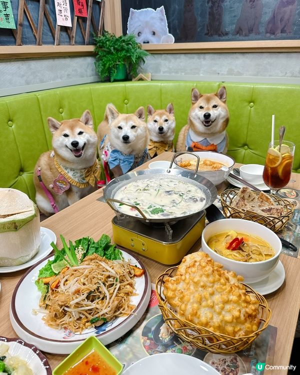 帶毛孩食泰越菜