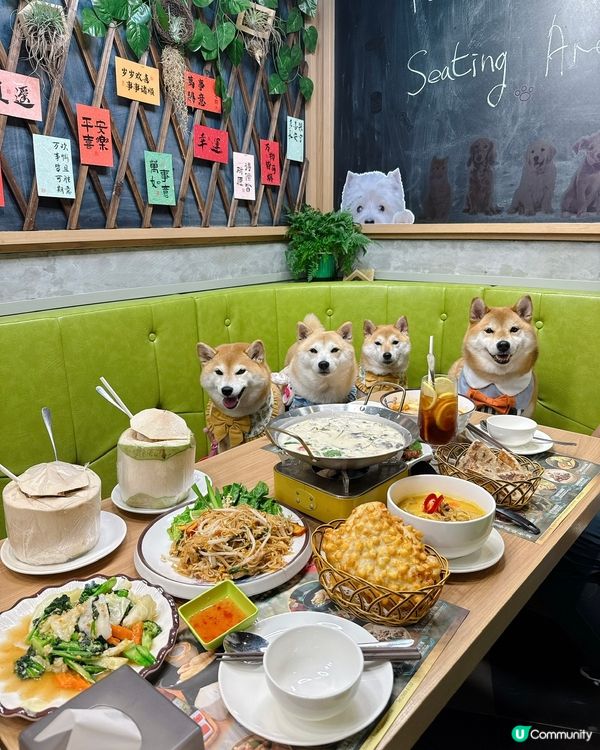 帶毛孩食泰越菜