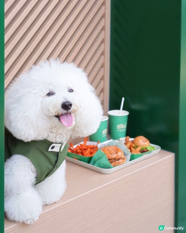 本地高質手工漢堡包 新分店於打卡熱點傍