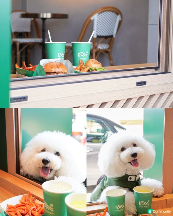 本地高質手工漢堡包 新分店於打卡熱點傍