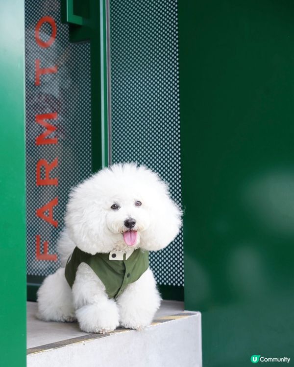 本地高質手工漢堡包 新分店於打卡熱點傍