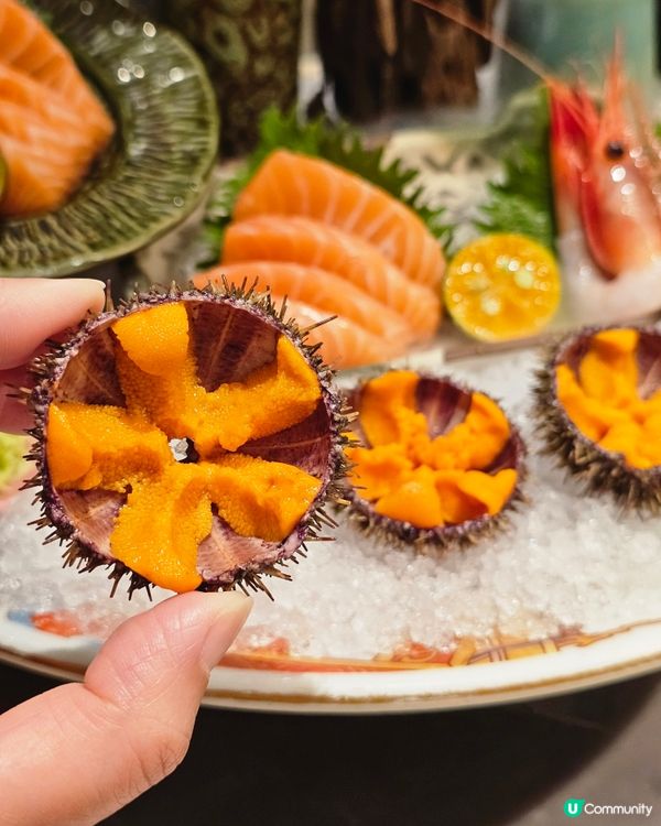 📍深圳必吃🍴膽道海膽盛宴✨