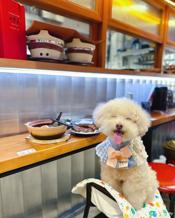 #陪食專員 🥢媽媽又想食咗禾 #煲仔飯