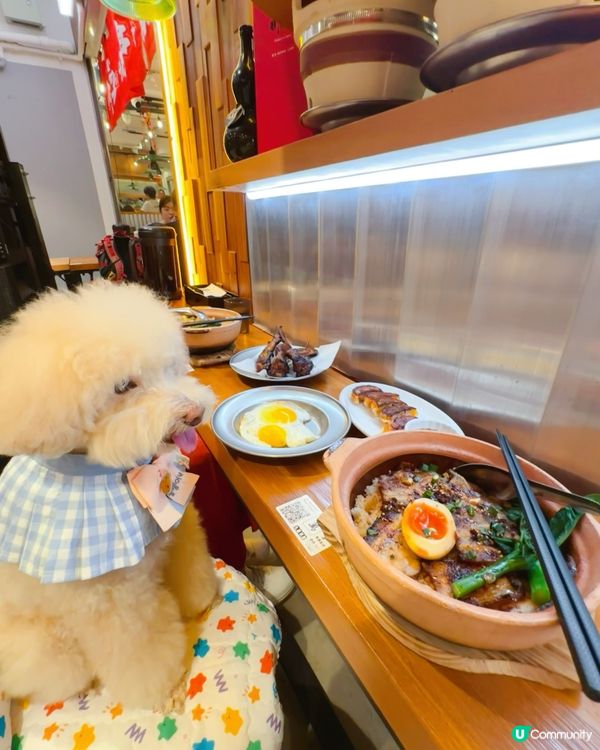 #陪食專員 🥢媽媽又想食咗禾 #煲仔飯