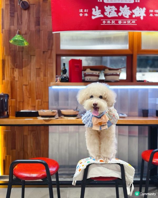 #陪食專員 🥢媽媽又想食咗禾 #煲仔飯