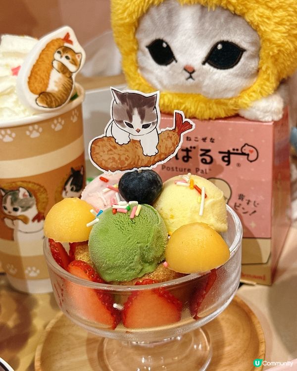 銅鑼灣貓奴必去拉麵店🐱🍜