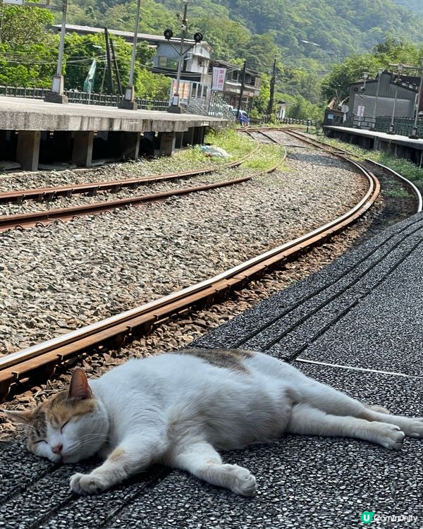 台北出發去九份十分，交通攻略！🚗💨