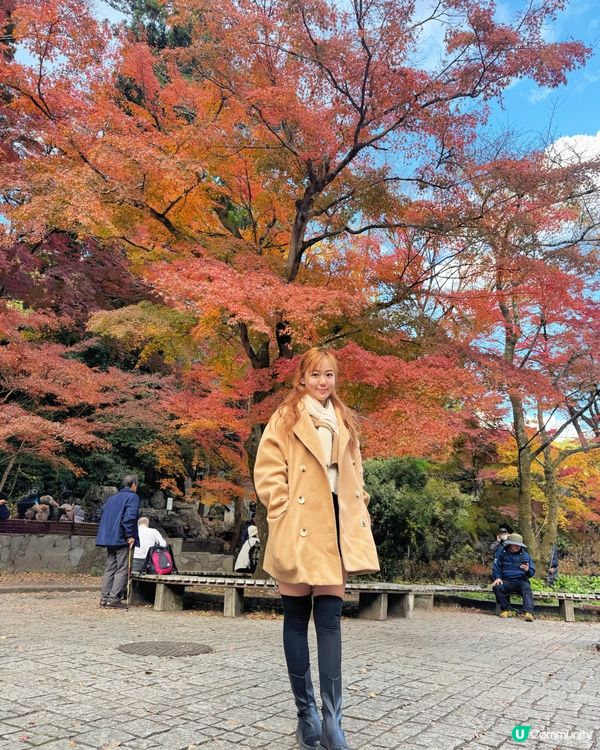 最近旅遊打卡熱點